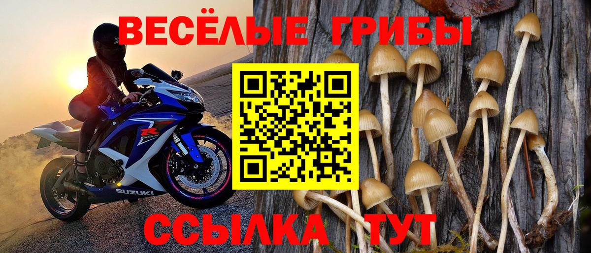 Галлюциногенные грибы GOLDEN TEACHER Глазов